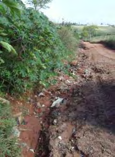 85 A partir da estrada Raimundo Maiolini para o município de Álvares Machado- SP, são frequentes as manchas de solos desenvolvidos (associação Latossolos Vermelhos), rodeados por deposição de