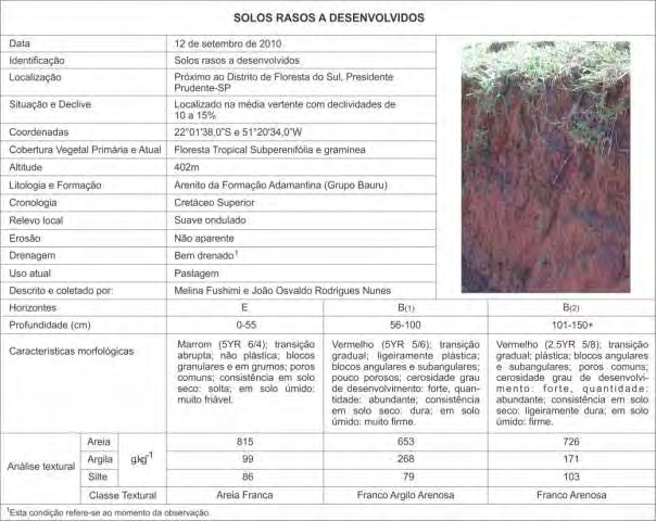 93 Ao realizar a análise textural, verifica-se que o horizonte B(1) possui acúmulo de argila (268 g.kg-¹ e classe textural Franco Argilo Arenosa ), em comparação ao horizonte anterior E (99 g.