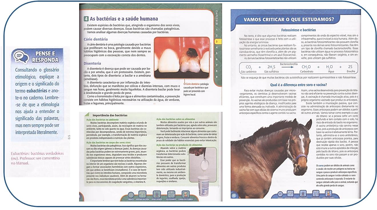 Figura 2- Trechos do capitulo três sobre Moneras, que evidenciam situações de alfabetização e letramento científico (Mendonça, 2013 p. 42 a 53).