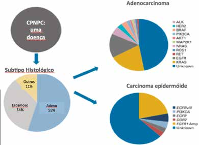 Introdução Por décadas a classificação dos tumores de pulmão não-pequenas células era realizada exclusivamente através de análise histológica.