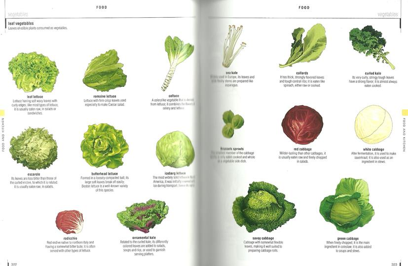 32 Figura 6: verbete Leaf vegetables (MERRIAM-WEBSTER, 2010, p.