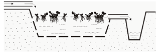 Barreiras hidráulicas Capas vegetativas Além disso, as plantas podem secretar elas próprias enzimas Açudes artificiais biodegradativas.