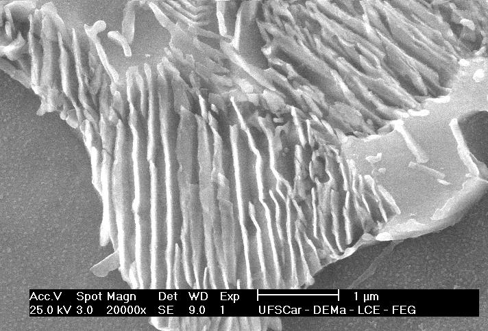 Micrografias obtidas por microscopia eletrônica de varredura