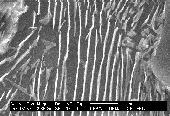 Micrografias obtidas por microscopia eletrônica de varredura