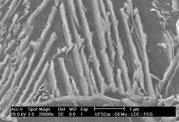 Micrografias obtidas por microscopia eletrônica de varredura