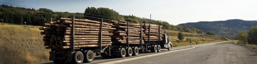 Por isso implantou um sistema capaz de realizar o planejamento otimizado do transporte de madeira, considerando as características únicas da operação.