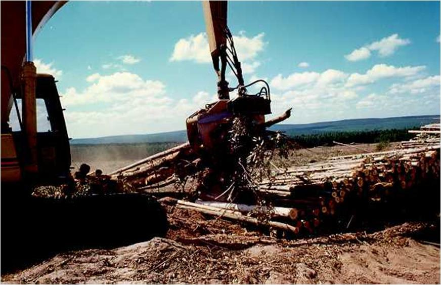 Log Cutter