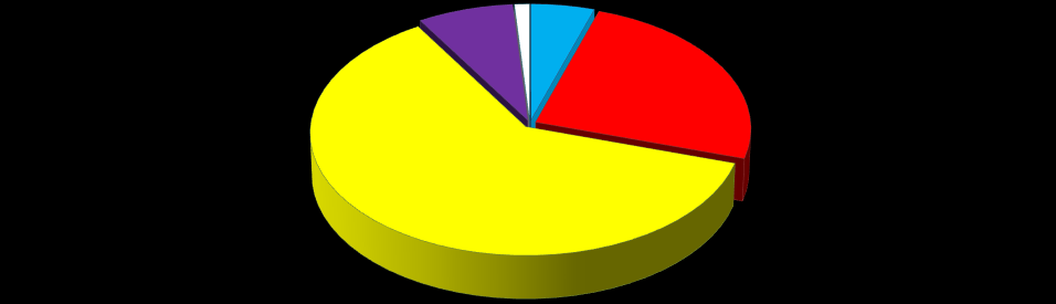 Instituto Federal do Ceará GRÁFICO 7 - DISTRIBUIÇÃO PERCENTUAL DA AMOSTRA DE ACORDO COM A ETNIA - SEXO FEMININO 7,57% 1,19% 5,02%