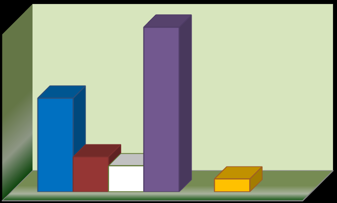 Continuar os estudos Procurar emprego 28,19% 10,59% 7,88% 3,89% Trabalhar por conta própria Estudar e trabalhar Trabalhar em negócio da família Outros planos Ainda não decidiu GRÁFICO 33 -