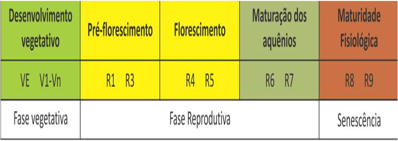 ESTÁDIOS FENOLÓGICOS DO GIRASSOL Resende et al.