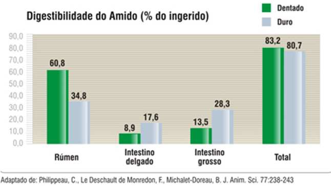 *Gene específico retarda a conversão da sacarose em amido durante o desenvolvimento do endosperma