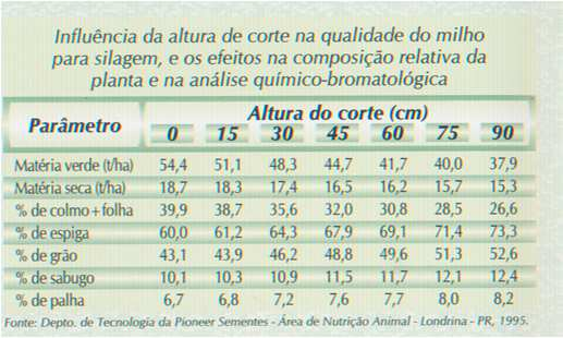 CARACTERÍSTICAS PRESENÇA DE AMINOÁCIDOS ALTA PROTEÍNA E ALTO ÓLEO Energia PB MILHO RESISTENTE A HERBICIDAS Glifosato Glufosinato de amônio MILHO Bt Produz