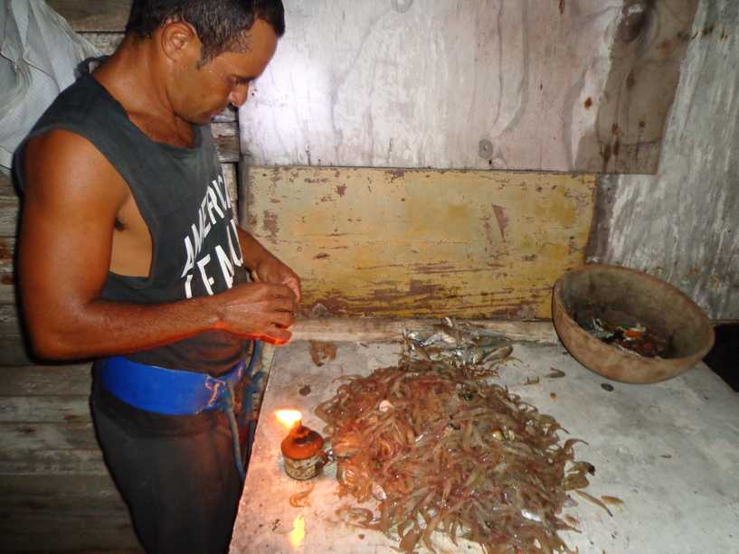 Figura 2- Beneficiamento artesanal do camarão pelos pescadores Resultados Muito embora, os pescadores do local demonstraram contentamento com as suas condições de vida, foi possível observar que a