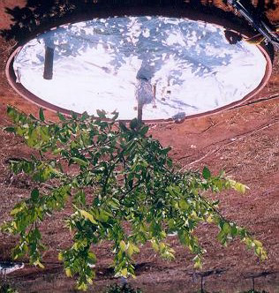 PROPOSTAS DE METODOLOGIA PADRÃO Kc - planta isolada Proposta 01: Uso de cobertura plástica no lisímetro, para se isolar a evaporação (Ke) e obter a transpiração da planta (Kcb).