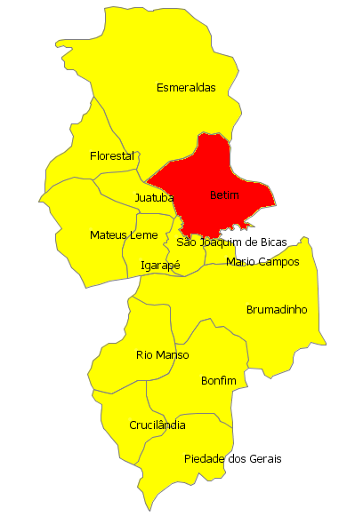 A Rede de Atenção à Saúde no SUS BeMm Na organização da Rede de Serviços de Saúde definida pelo Plano Diretor de Regionalização (PDR) de Minas Gerais, o