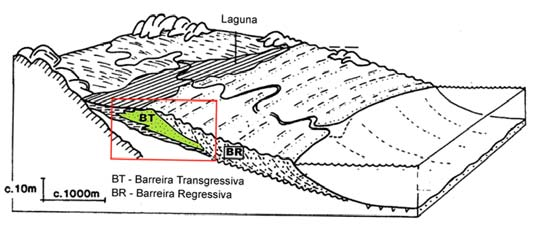 (Figura 1) Sistema do tipo barreira-laguna onde se distingue a fase transgressiva (BT) e regressiva (BR) da barreira costeira. (Modificado de ROY et al. 1994).