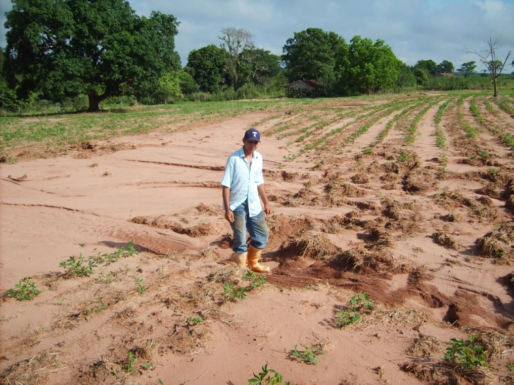 propriedade ou a posse temporária com as limitações estabelecidas neste código de uso do solo agrícola para o Estado do Paraná. Art.