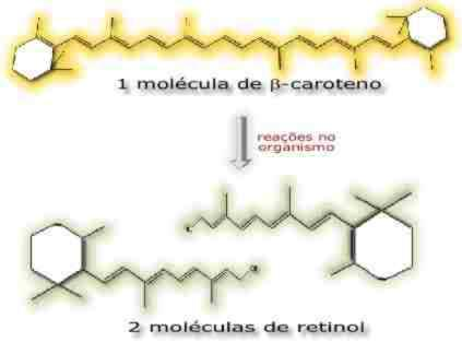 mistos terpenos- origem