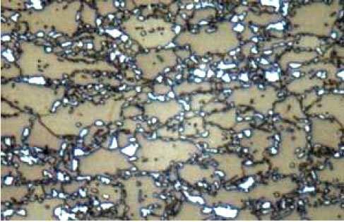 2(b), micrografia de um aço DP600 obtida na literatura, é possível notar a semelhança entre ambas e observar as ilhas de martensita/bainita (parte clara) dispersas na matriz ferrítica (parte escura).