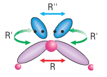 Geometria molecular Molécula de água, 2 O Existem dois dupletos não compartilhados no átomo central, o que implica repulsões adicionais.