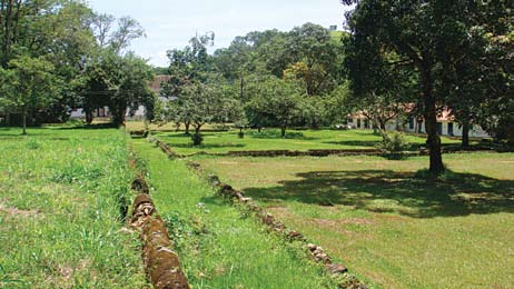 Ao lado direito da entrada, encontramos as construções de apoio à produção e as senzalas, hoje