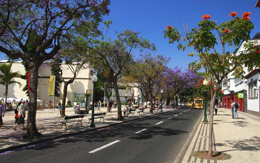 FUNCHAL A cidade do Funchal é considerada uma cidade cosmopolita e luxuosa mas acessível a todas as idades e gostos.