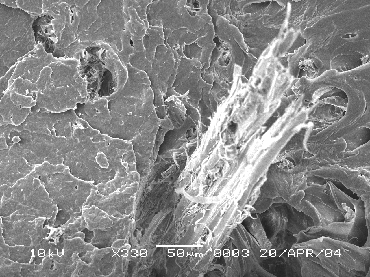A FIGURA 30 mostra micrografias obtidas na MEV (Microscopia Eletrônica de Varredura) de amostras fraturadas no ensaio de tração.