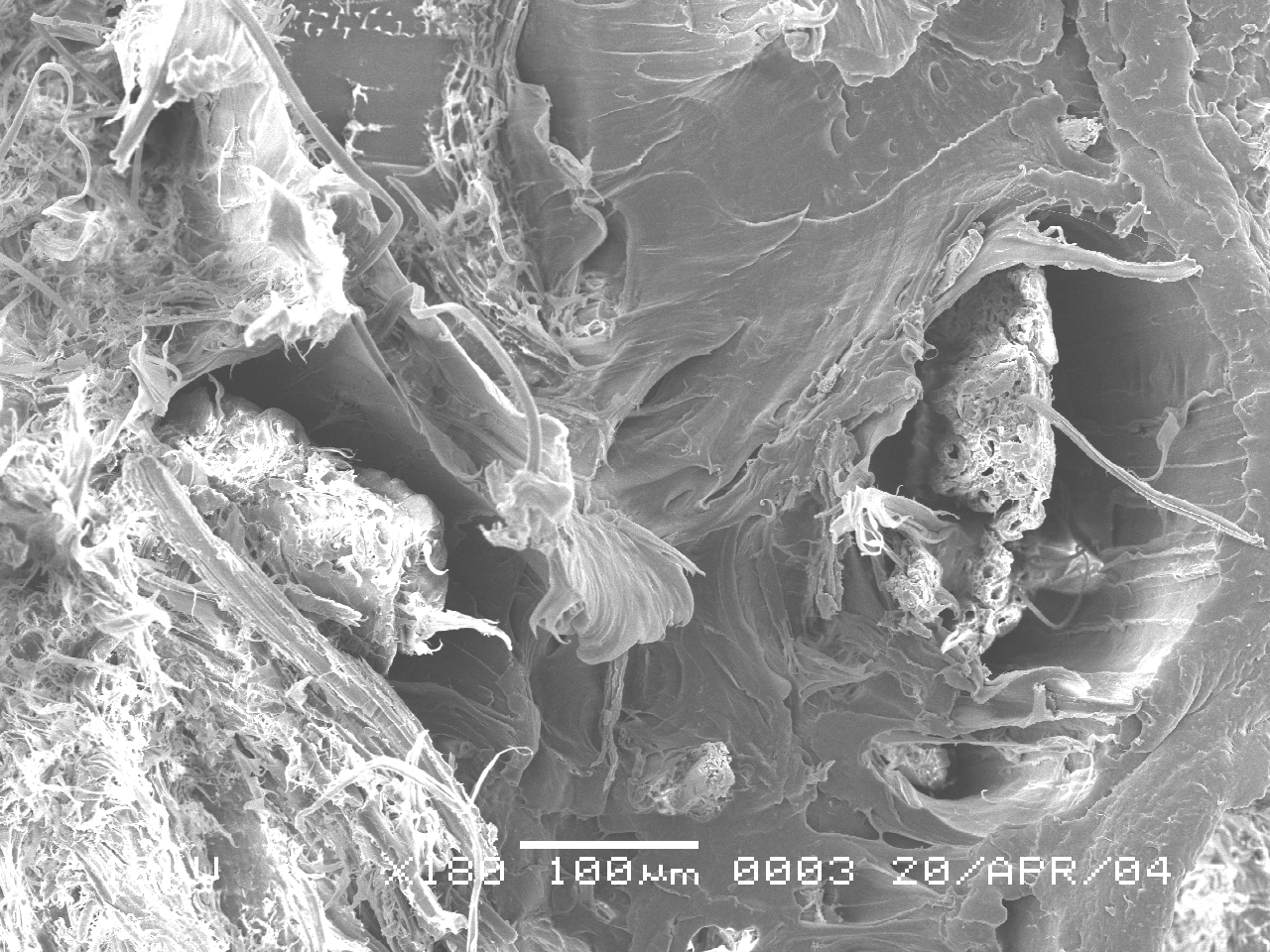A FIGURA 33 mostra uma micrografia da MEV (Microscopia Eletrônica de Varredura) da fratura de amostras submetidas ao ensaio de tração.