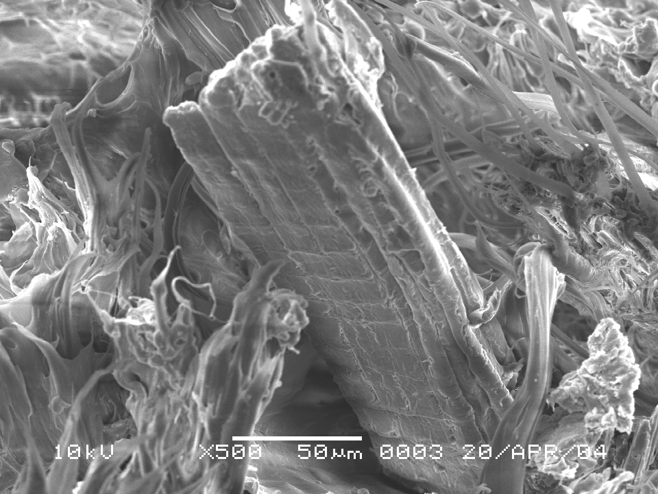 A FIGURA 34 é uma micrografia da MEV (Microscopia Eletrônica de Varredura) mostrando a influência do compatibilizante nos compósitos com 30% de madeira.