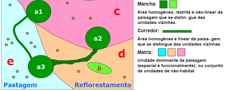 Relações entre padrões espaciais e processos