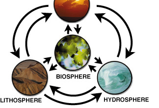 Qual a contribuição aplicada da ecologia de paisagens?