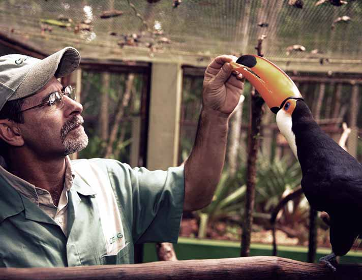 RELATÓRIO ANUAL E DE SUSTENTABILIDADE 2011 DIMENSÃO AMBIENTAL e uma Usina Termelétrica. Já foram obtidas as LOCs para duas UHEs, oito PCHs e uma Usina Termelétrica.