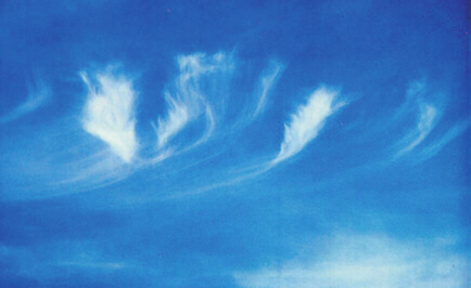 de couve-flor ), e que nos trópicos podem ultrapassar os 18 km de extensão. Quando pequenas e isoladas, são chamadas simplesmente de Cumulus e indicam tempo bom.