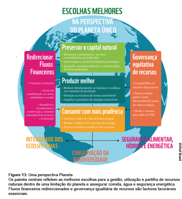 O QUE ESPERAR DO FUTURO É necessário dissociar o desenvolvimento humano do consumo insustentável (evitando os materiais e o uso intensivo de energia e