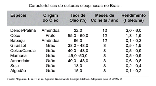 Qual é a melhor cultura