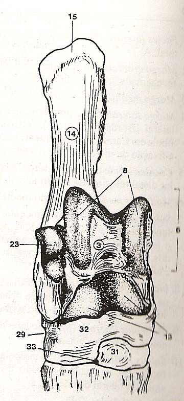 Fig. 11.