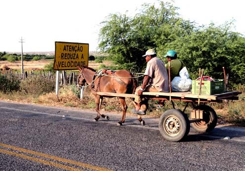 famílias) Vocações Agricultura Familiar de