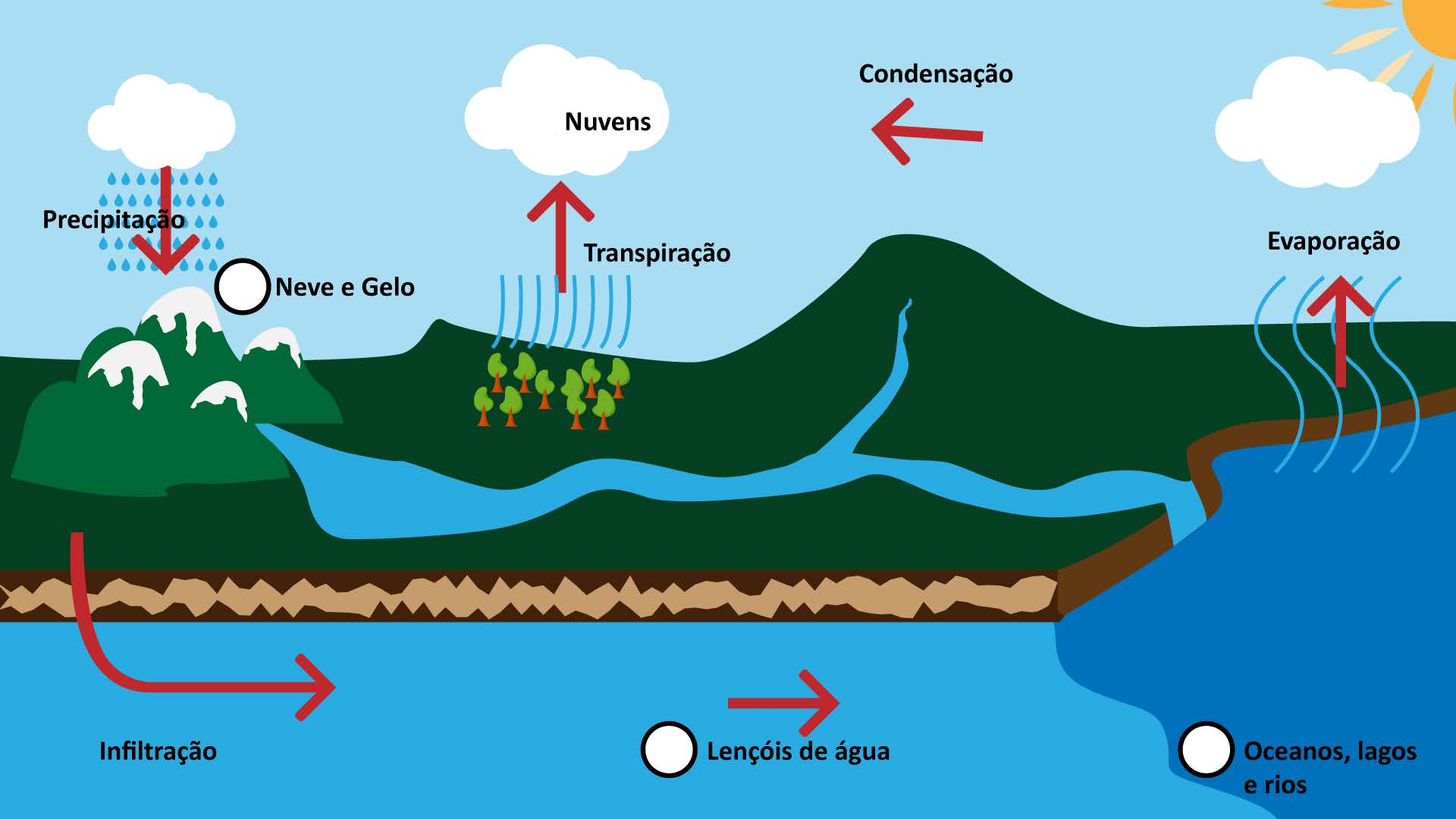 CICLO DA