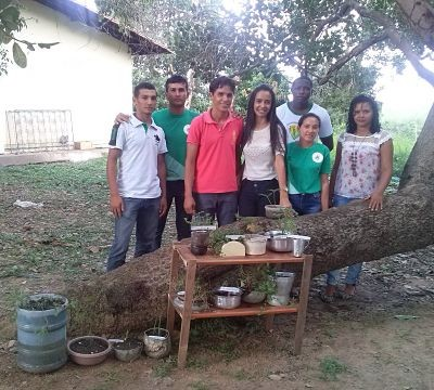 CONCLUSÕES A construção do projeto Botânico e Ambiental pelos discentes do curso de Licenciatura em Educação do campo apresentou excelentes resultados.