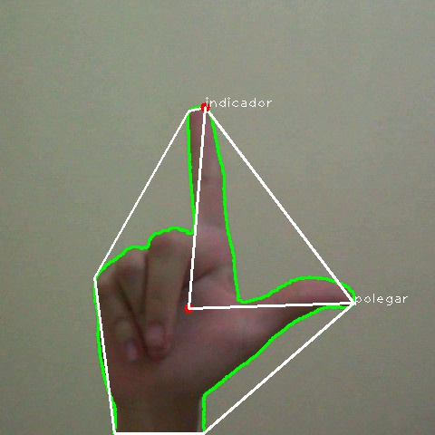A oclusão de um ou mais dedos entre os demais impossibilita a correta geração dos 7 lados do polígono, o que pode