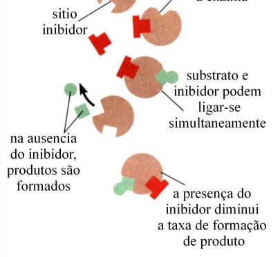 Inibição