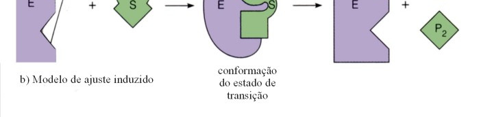 b. Inibição b.1.