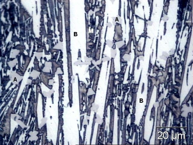 mais resistente ao ataque é M 7 C 3 eutéticos finos ricos em cromo e a fase mais escura, mais rica em ferro é austenita retida. Figura 4: Micrografia ótica da liga CNO após ataque.