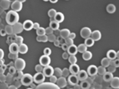 que é possível obter nanocápsulas biocompatíveis tipo