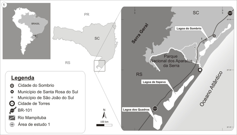 sedimentação marinha, lagunar e terrestre, onde atualmente se encontra uma floresta muito característica e adaptada às condições edáficas especiais destas planícies úmidas.