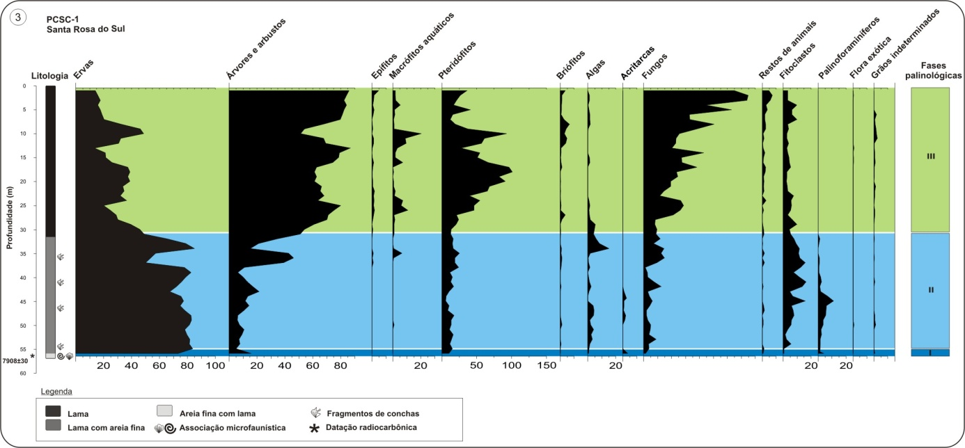 4. INTERPRETAÇÕES DAS FASES PALEOAMBIENTAIS Para a Fase I (570-560 cm): o conteúdo microfaunístico foi interpretado como sendo de deposição autóctone, uma vez que todo o material está bem conservado,