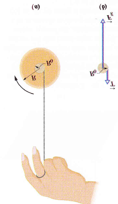 76 CAPÍTULO 1. ROTAÇÃO DE CORPOS RÍGIDOS Figura 1.30: O rolamento pode ser visto como uma rotação pura, com velocidade angular ω, em torno de um eixo que sempre passa por P.