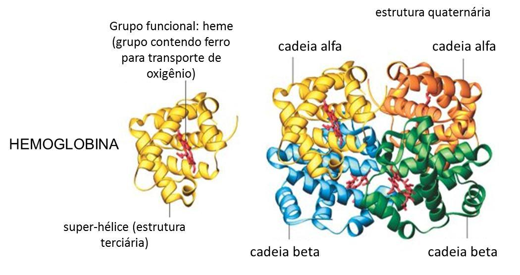 ESTRUTURA QUARTENÁRIA Composta por dois ou mais