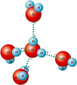 ORGANIZAÇÃO MOLECULAR DA CÉLULA ÁGUA: Principal componente da célula Molécula assimétrica -H-O-H = 104,9 o Molécula polar dipolo - Quando elétrons são compartilhados entre átomos em uma