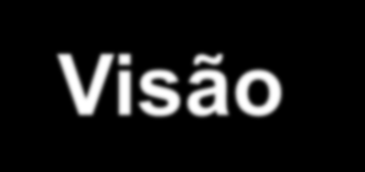 Visão Geral da Companhia Auditoria Interna Eventuais declarações que constem nesta apresentação, relativas às perspectivas de